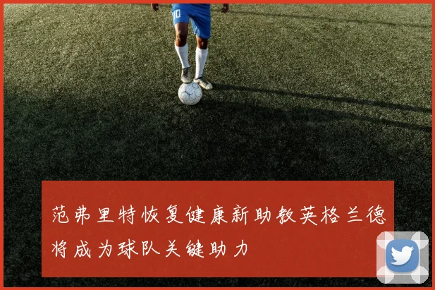 范弗里特恢复健康新助教英格兰德将成为球队关键助力